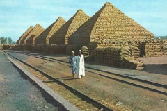 Groundnut-Pyramid-of-Nigeria.-Credit_-AgroNigeria